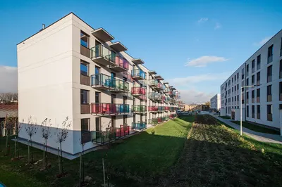 TTS Development Deweloper